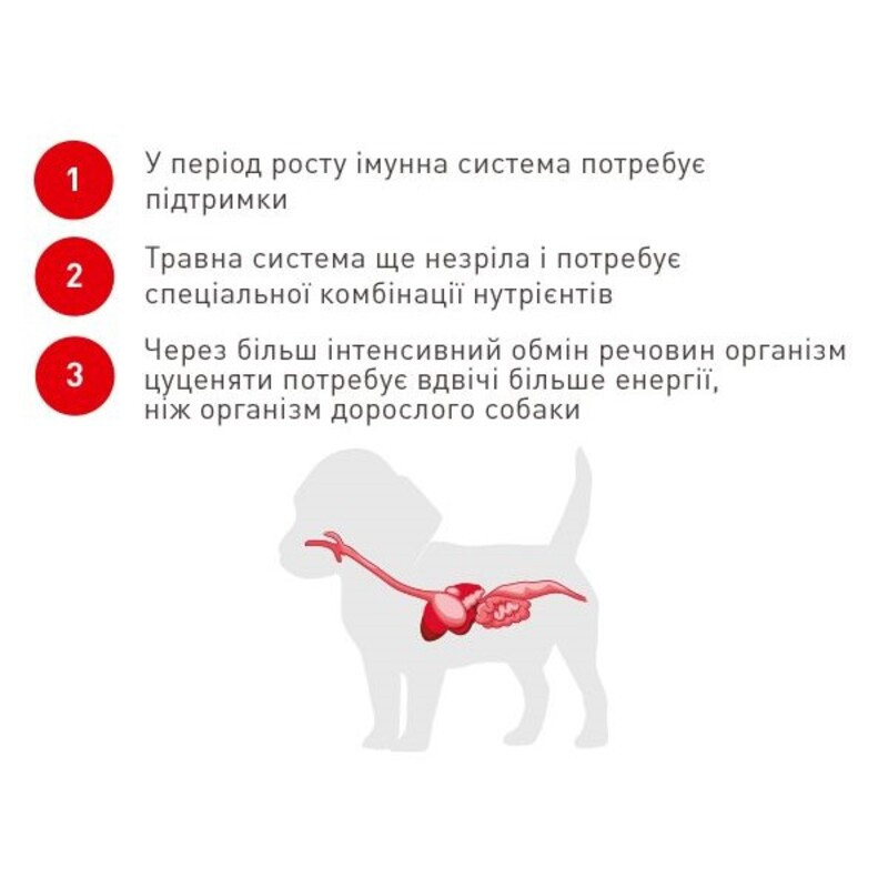 Royal Canin Bulldog Puppy Сухой корм для щенков