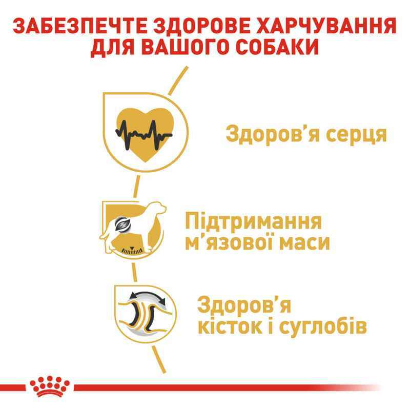 Royal Canin Rottweiler Adult Сухой корм для собак
