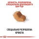 Royal Canin Shih Tzu Adult Сухой корм для собак
