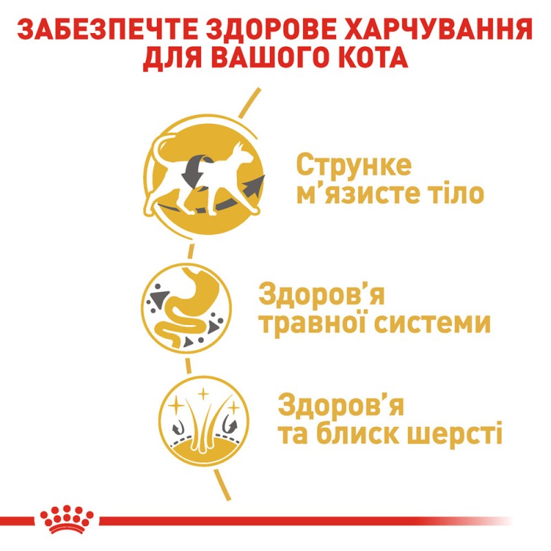 Royal Canin Siamese Adult Сухой корм для взрослых кошек