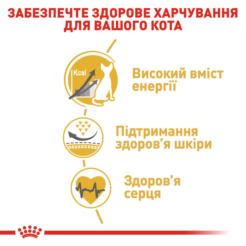 Royal Canin Sphynx Adult Сухой корм для взрослых кошек