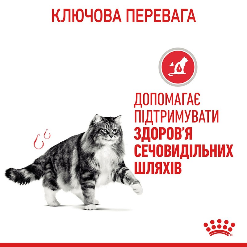Royal Canin Urinary Care Сухой корм для взрослых кошек