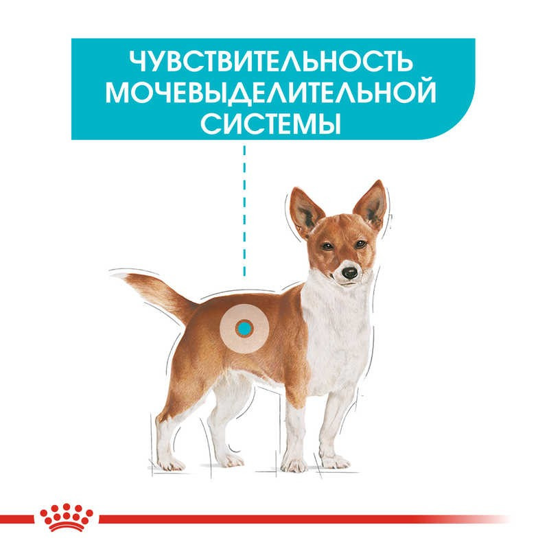 Royal Canin Urinary Loaf Консерви для собак