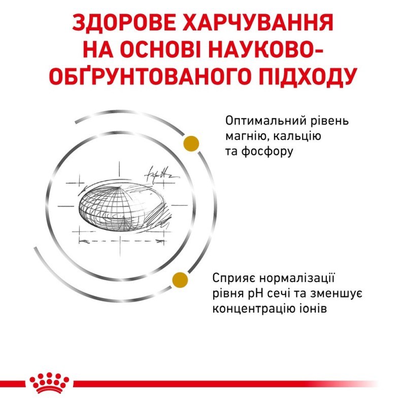 Royal Canin Urinary S/O Feline Лечебный корм для взрослых кошек