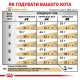 Royal Canin Urinary S/O Feline Лечебный корм для взрослых кошек