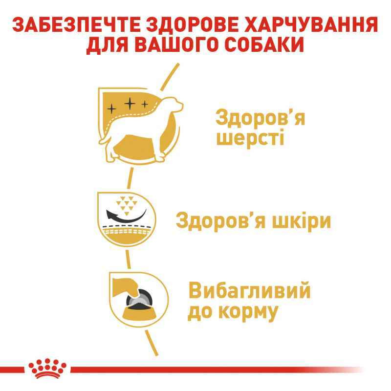 Royal Canin Westie Adult Сухой корм для собак