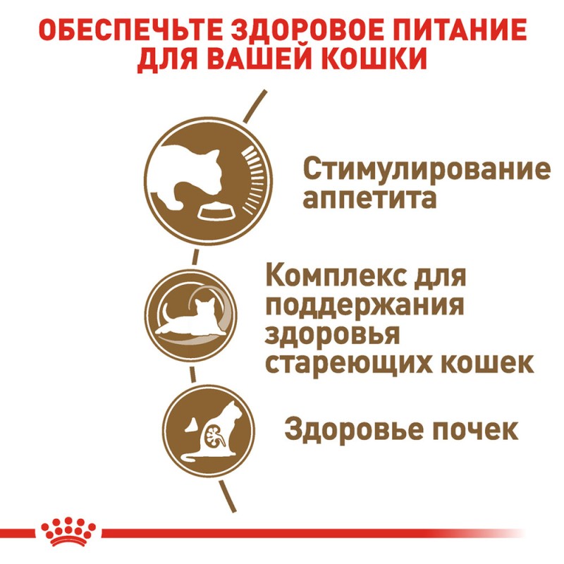Royal Canin Ageing +12 Сухой корм для взрослых кошек