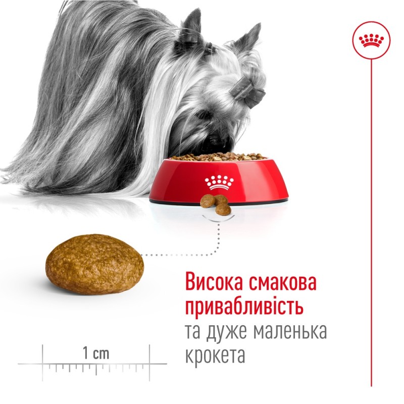 Royal Canin Xsmall Adult 8+ Сухой корм для собак