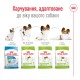 Royal Canin Xsmall Adult 8+ Сухой корм для собак
