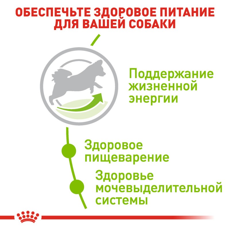 Royal Canin Xsmall Adult 8+ Сухой корм для собак