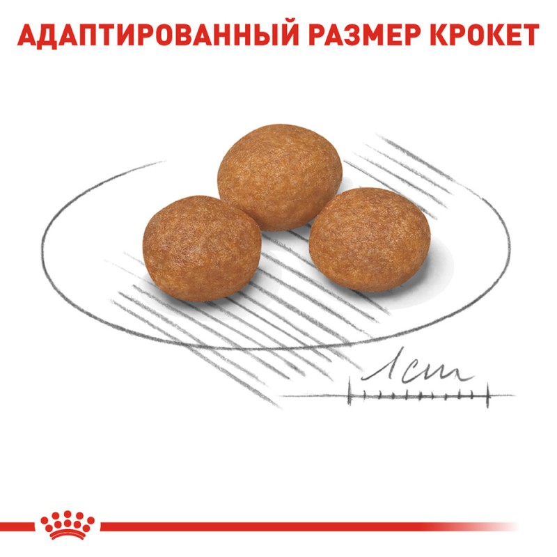 Royal Canin Xsmall Adult 8+ Сухой корм для собак