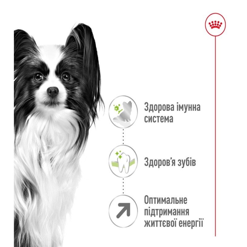Royal Canin Xsmall Adult 8+ Сухой корм для собак