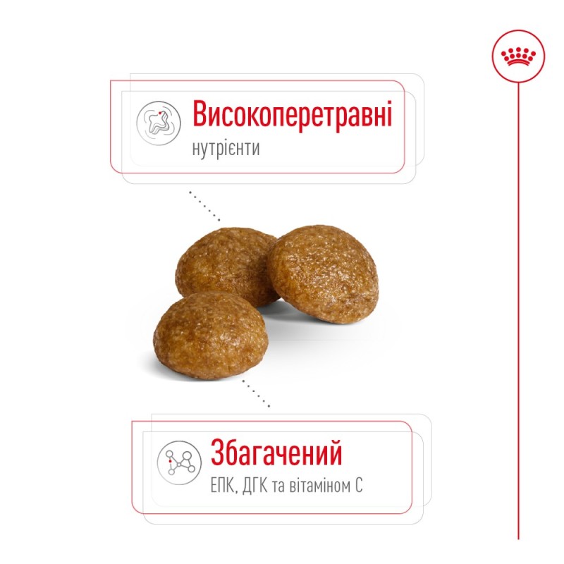 Royal Canin Xsmall Adult Сухой корм для собак