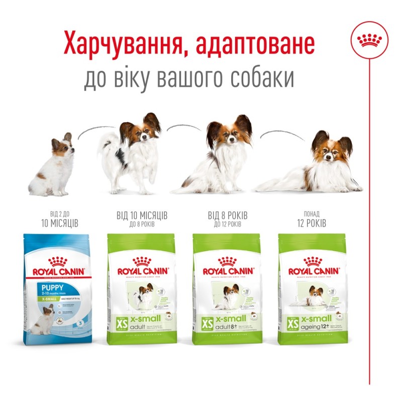 Royal Canin Xsmall Adult Сухой корм для собак