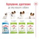 Royal Canin Xsmall Adult Сухой корм для собак
