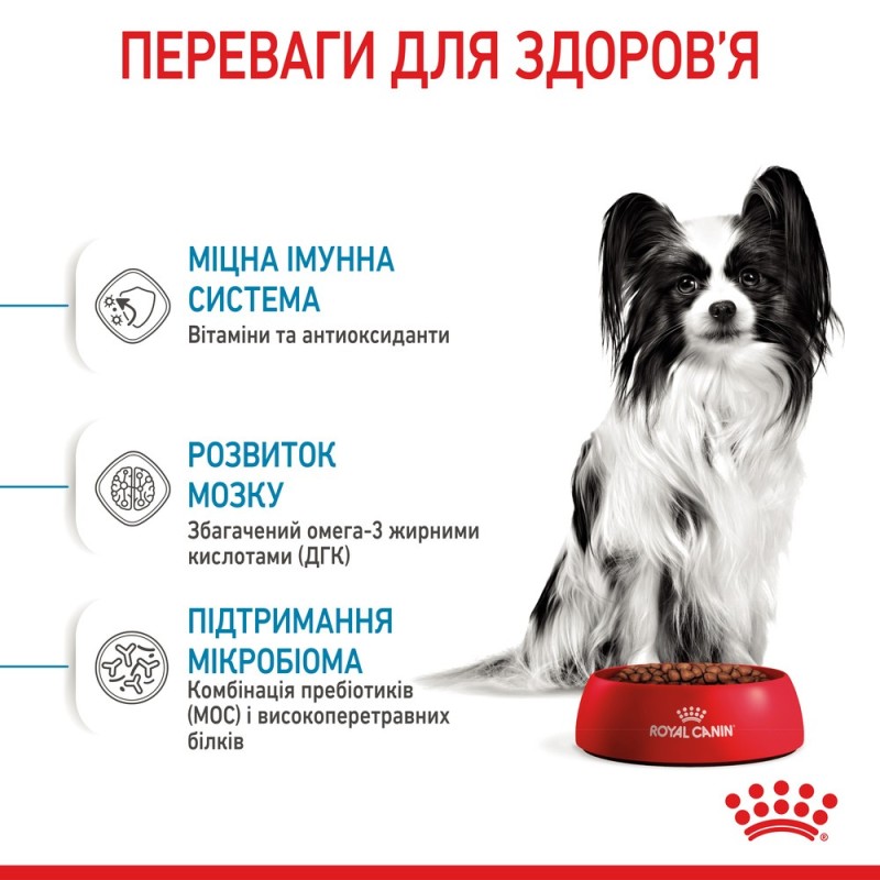 Royal Canin Xsmall Puppy Сухой корм для щенков