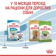 Royal Canin Xsmall Puppy Сухой корм для щенков