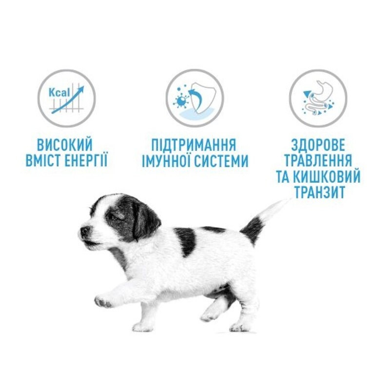 Royal Canin Xsmall Puppy Сухой корм для щенков