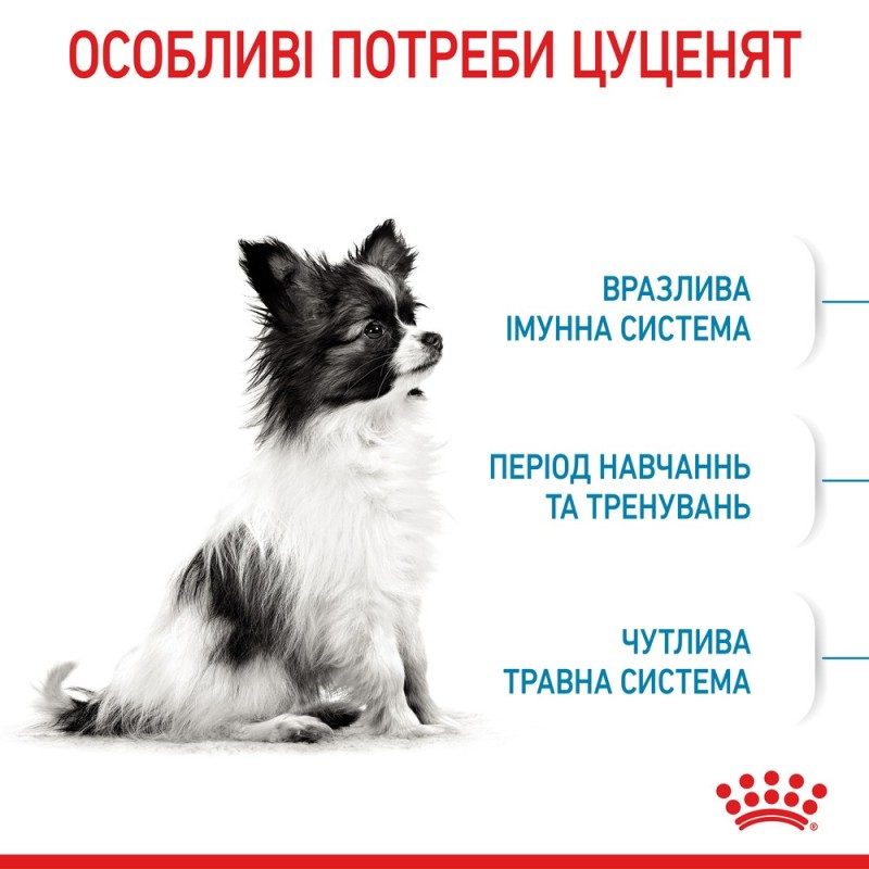 Royal Canin Xsmall Puppy Сухой корм для щенков