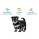 Royal Canin Yorkshire Puppy Сухой корм для щенков