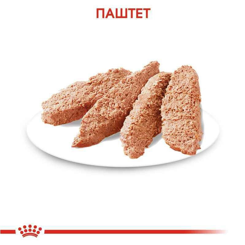Royal Canin Coat Beauty Loaf Консервы для собак