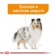 Royal Canin Coat Beauty Loaf Консервы для собак