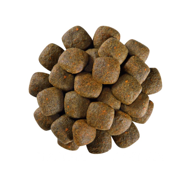 Royal Canin Cardiac Canine Лечебный корм для собак