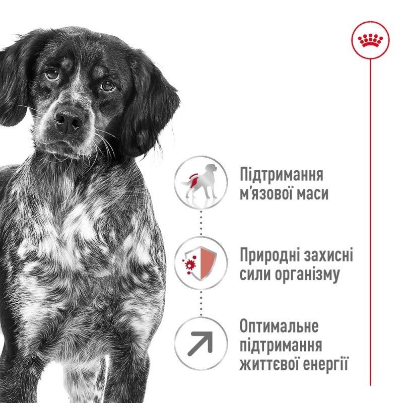 Royal Canin Medium Adult 7+ Сухой корм для собак