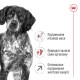 Royal Canin Medium Adult 7+ Сухой корм для собак