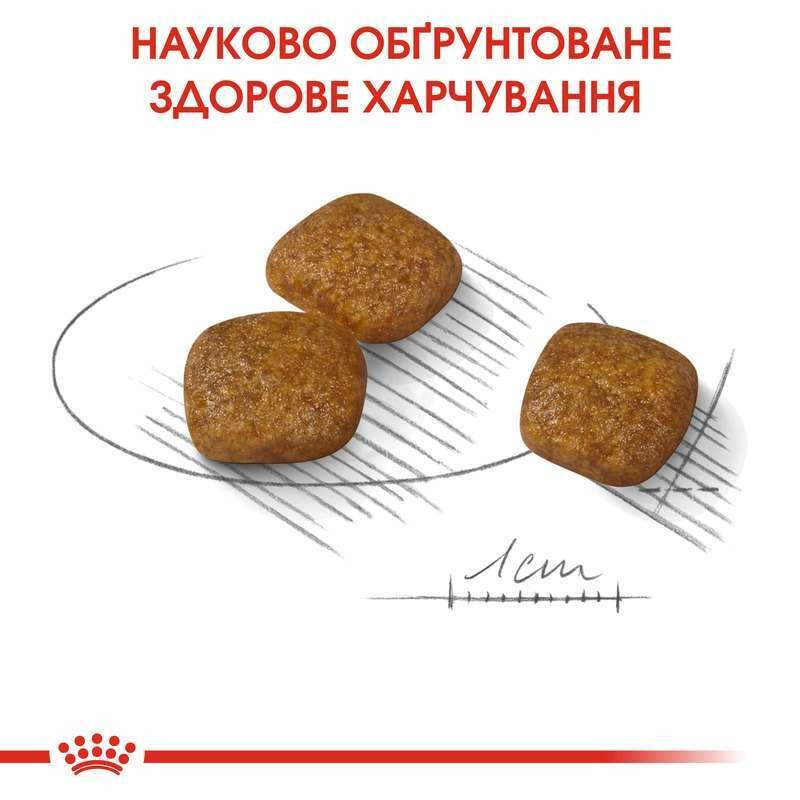 Royal Canin Mini Urinary Care Сухой корм для собак