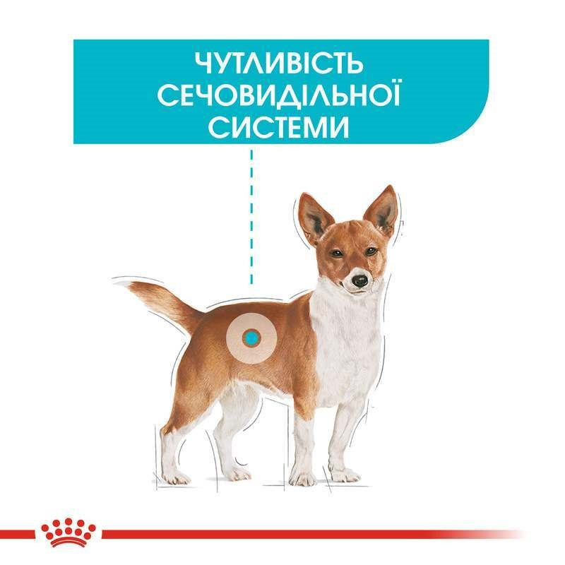 Royal Canin Mini Urinary Care Сухой корм для собак