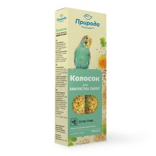 Природа Колосок для попугаев Луговые травы