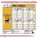 Royal Canin Dachshund Adult Сухой корм для собак