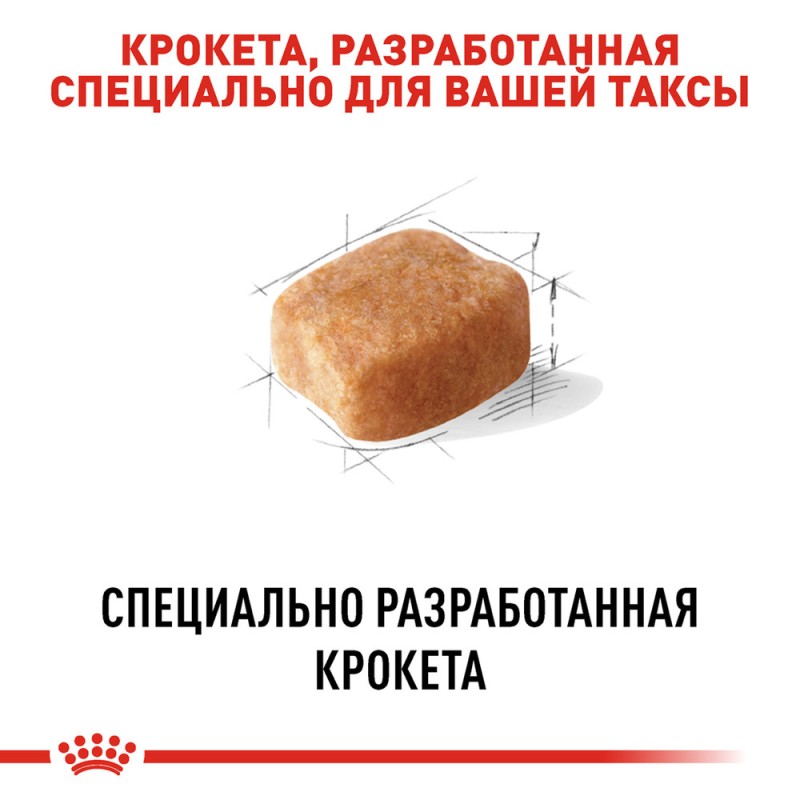 Royal Canin Dachshund Adult Сухой корм для собак