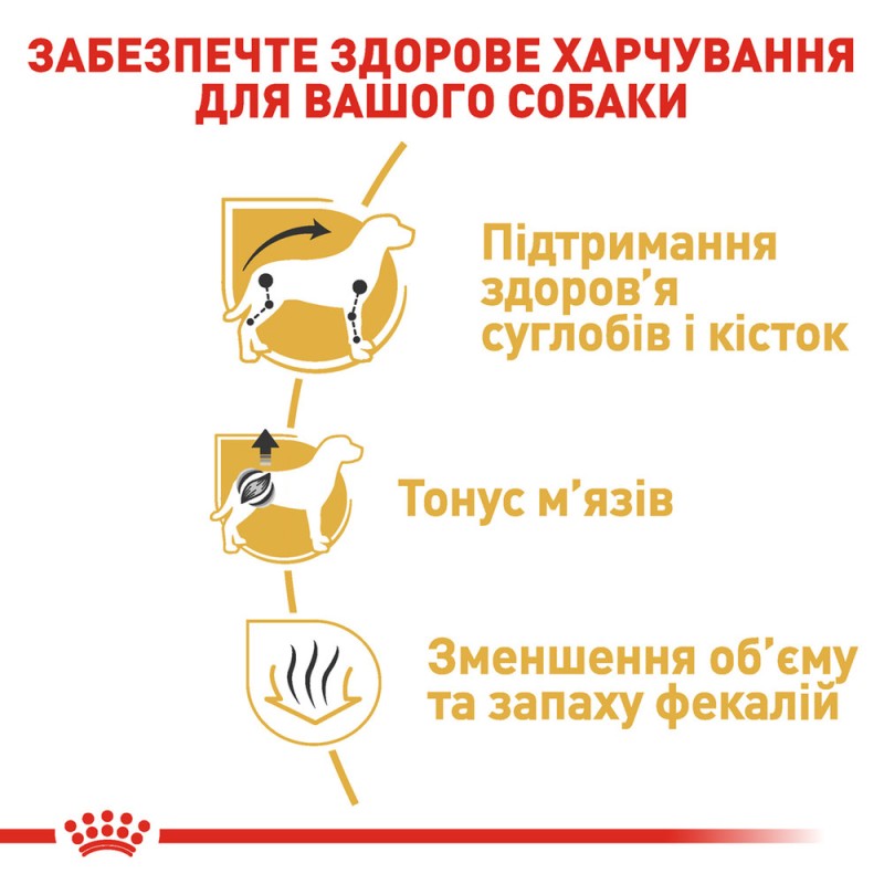 Royal Canin Dachshund Adult Сухой корм для собак