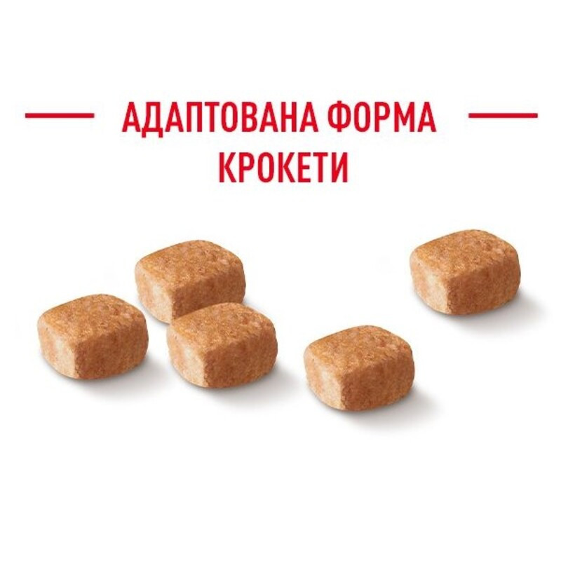 Royal Canin Dachshund Puppy Сухой корм для щенков