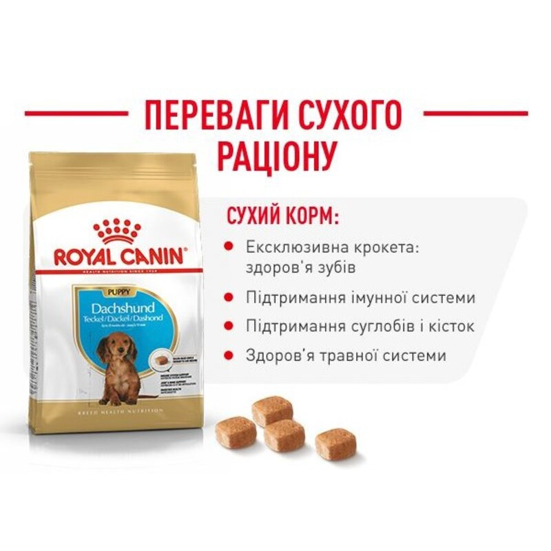 Royal Canin Dachshund Puppy Сухой корм для щенков