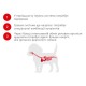 Royal Canin Dachshund Puppy Сухой корм для щенков