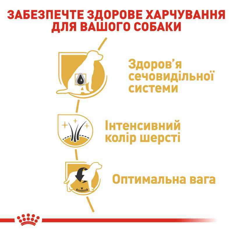 Royal Canin Schnauzer Adult Сухой корм для собак