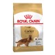 Royal Canin Cocker Adult Сухой корм для собак
