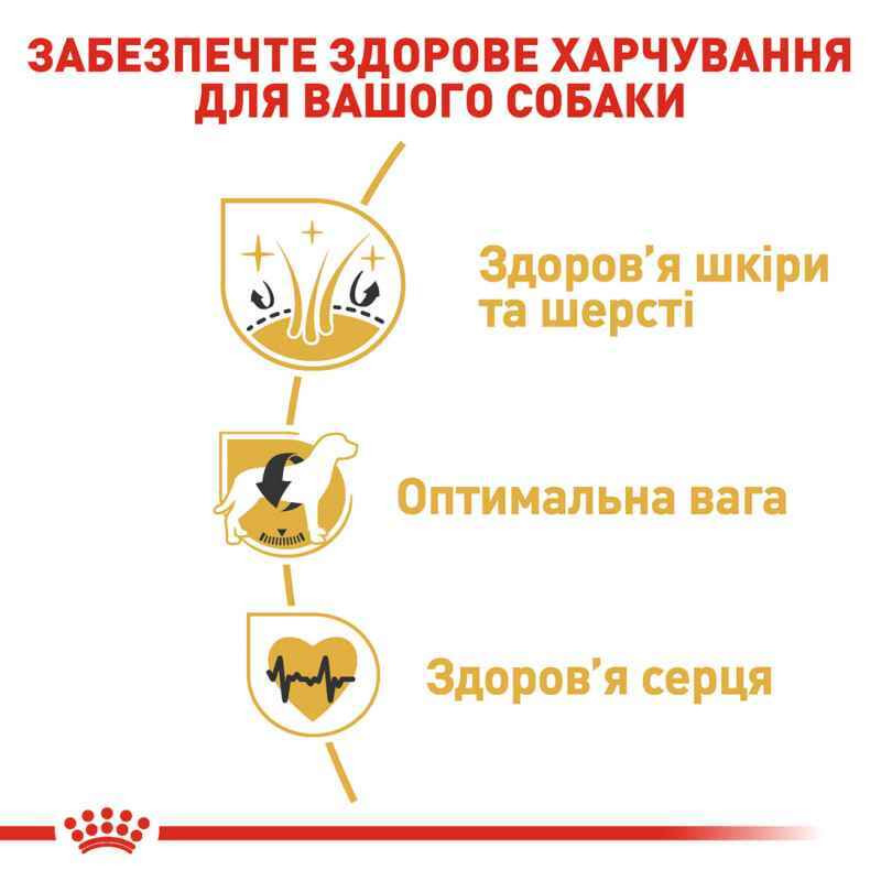 Royal Canin Cocker Adult Сухой корм для собак