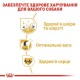 Royal Canin Cocker Adult Сухой корм для собак