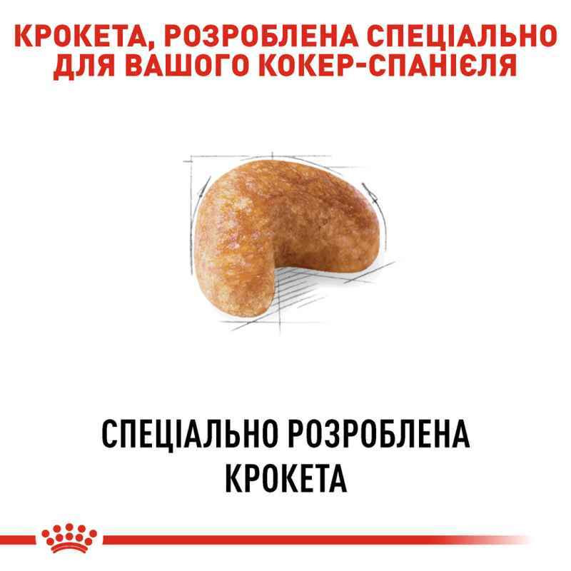 Royal Canin Cocker Adult Сухой корм для собак