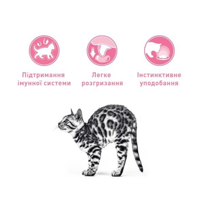 Royal Canin Kitten Instinctive in Jelly Консервы для котят