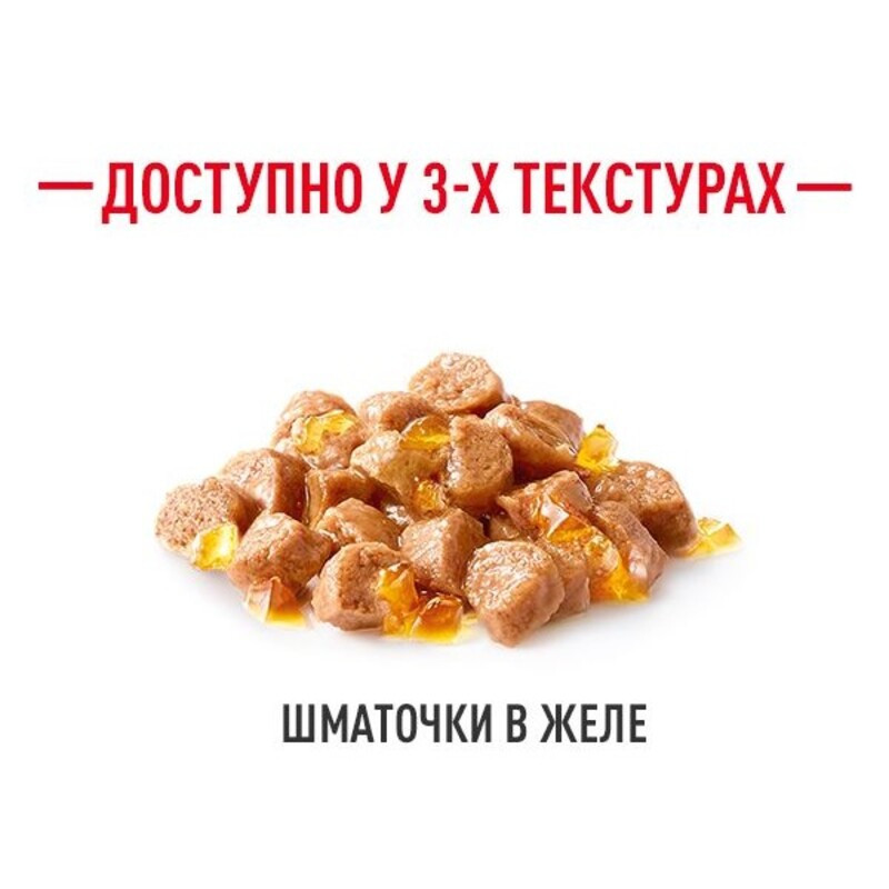 Royal Canin Kitten Instinctive in Jelly Консервы для котят