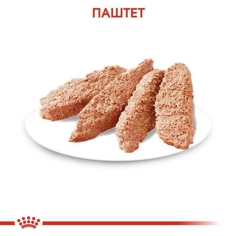 Royal Canin Dermacomfort Loaf Консерви для собак