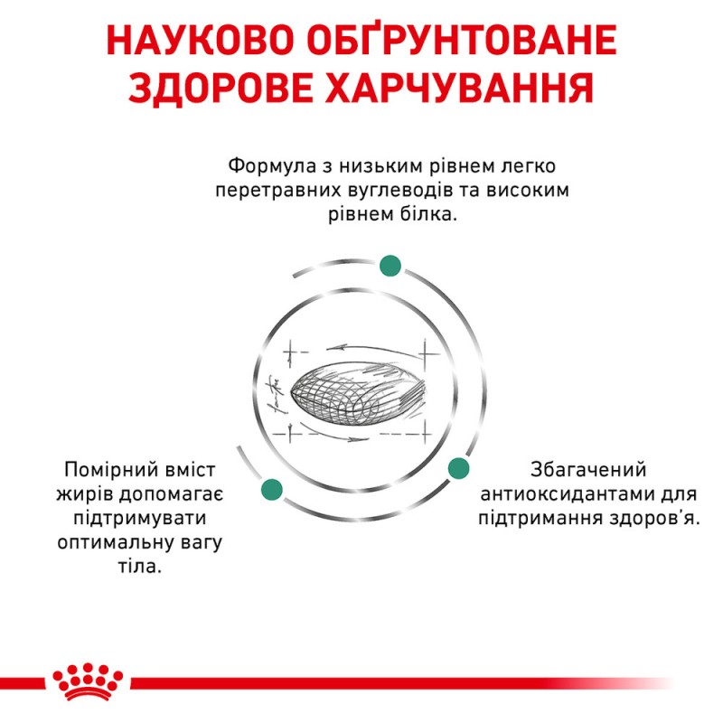 Royal Canin Diabetic Feline Лечебный корм для взрослых кошек