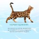 Optimeal Cat Beauty Podium Консервы для взрослых кошек с тунцом и кольцами кальмара в соусе