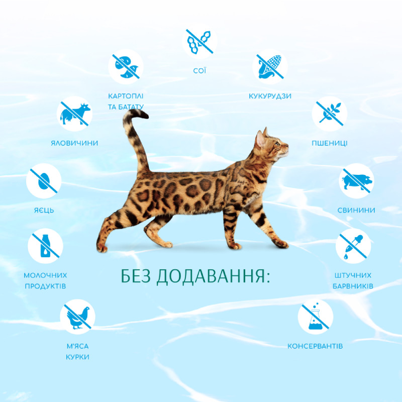Optimeal Cat Beauty Podium Shiny Coat & Dental Care Сухий корм для дорослих кішок для блиску вовни та догляд за зубами