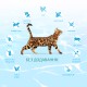 Optimeal Cat Beauty Podium Shiny Coat & Dental Care Сухий корм для дорослих кішок для блиску вовни та догляд за зубами